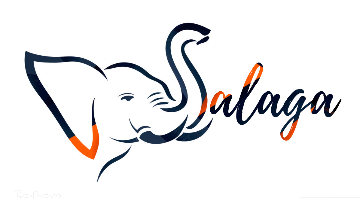 Salaga Group Logo